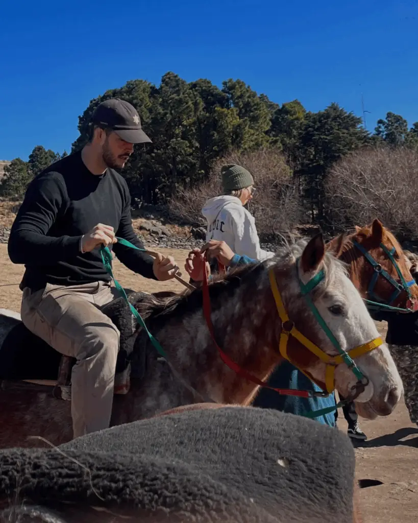 Alquiler de Caballos